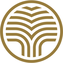 Plywood Logo